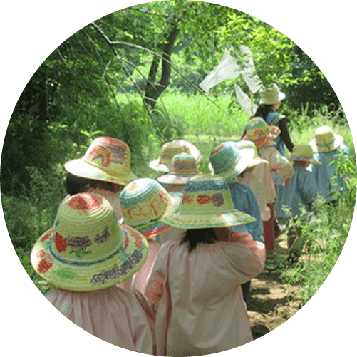 森のようちえん